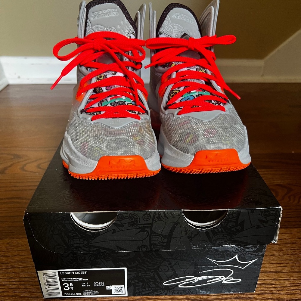 NIKE LEBRON  (19) XIX FAST FOOD BRIGHT CRIMSON DD0418 BOYS SIZE 3.5
